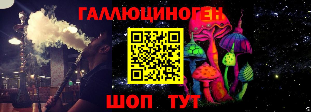 закладка  Вход с VPN  Котельники  Псилоцибиновые грибы MAGIC MUSHROOMS 